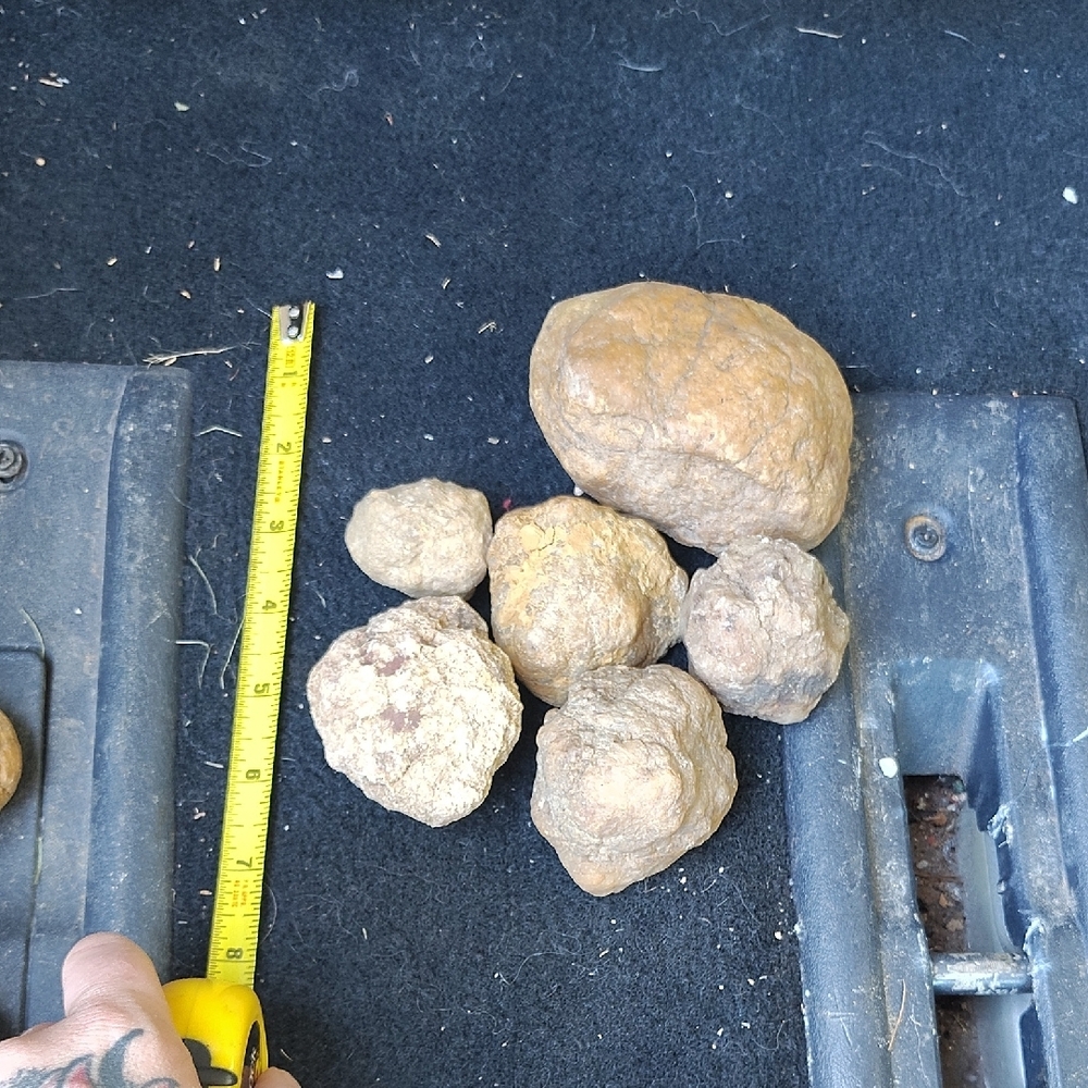 Geodes - Picture 3 of 5